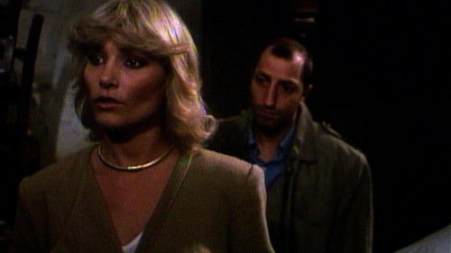 La gatta da pelare Bild 2