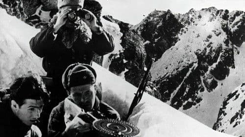 Błękitny krzyż Bild 8