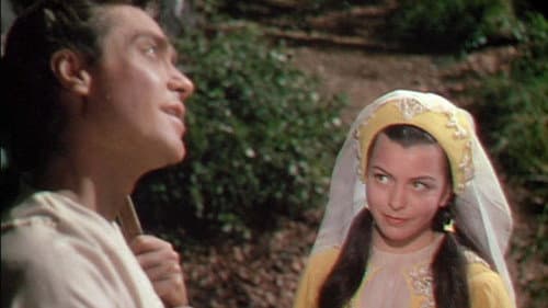 Robin Hood und seine tollkühnen Gesellen Bild 8