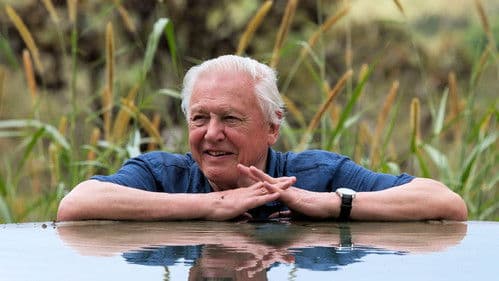 David Attenborough's Global Adventure Bild 1