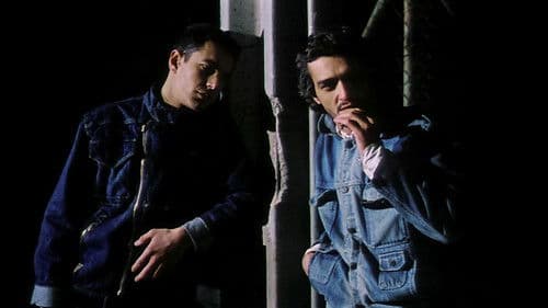 Matar Saudades Bild 4