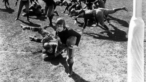 Der Sportstudent Bild 1