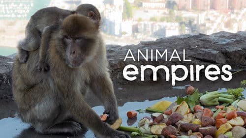Animal Empires Bild 1