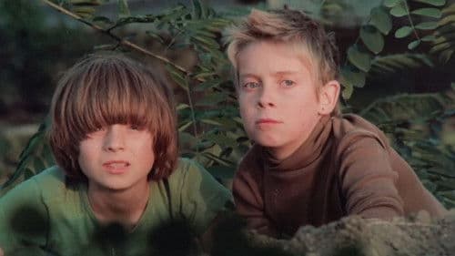 Dzień kolibra Bild 3