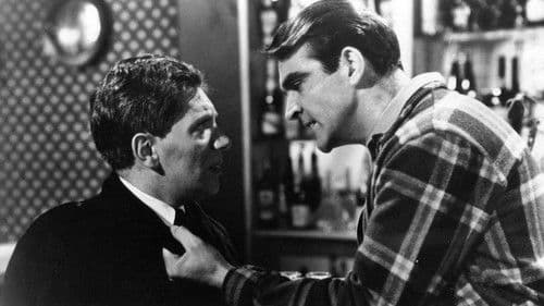 Die blinde Spinne Bild 1