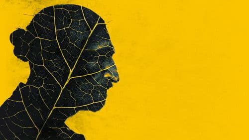 Partisan - Farm des Bösen Bild 4