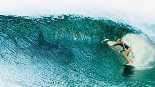 The Shallows: Gefahr aus der Tiefe Bild 8