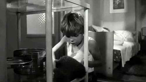 Компаньерос Bild 1