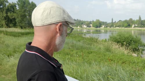 La disparition des lucioles Bild 2