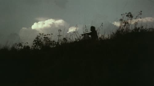 പോക്കുവെയിൽ Bild 8