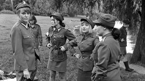 Rzeczpospolita babska Bild 5