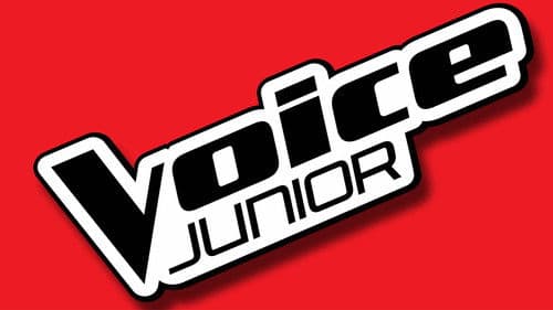 Voice Junior Bild 3