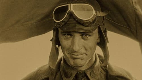 Flügel aus Stahl Bild 4