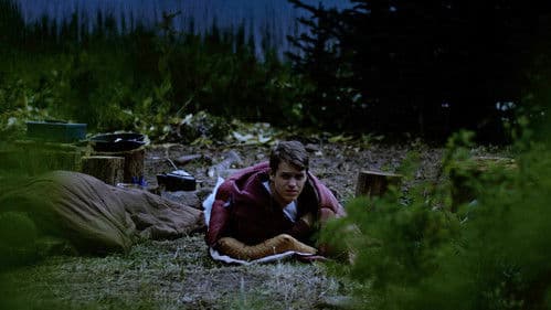 No Escape - Grizzly Night Bild 5