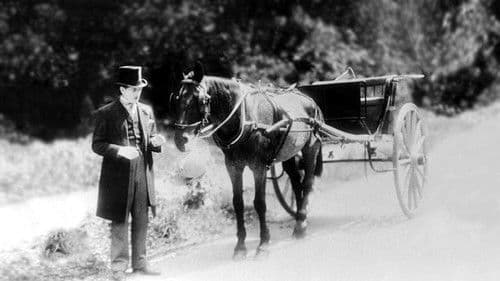 Der Florentiner Hut Bild 2