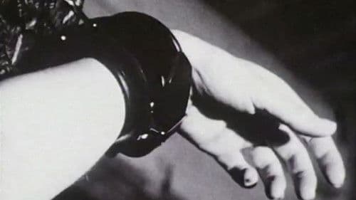 La séquence des barres parallèles Bild 1