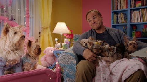 Wuff Star Weihnachten Bild 5