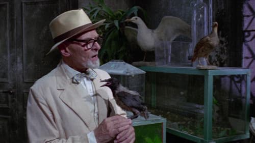 Sieben Jungfrauen für den Teufel Bild 5