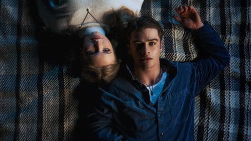 Look to the Light Bild 1