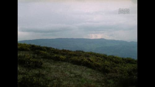 Relação Fiel e Verdadeira Bild 5