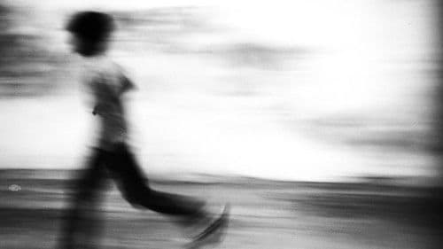 Seagull dog child Bild 1