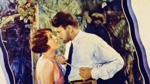 Tropical Nights Bild 1