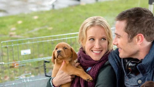 The Birthday Wish Bild 4