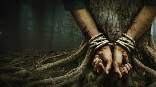 Bark - Nichts bleibt verborgen Bild 1