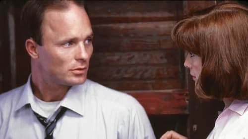 A Flash of Green Bild 4