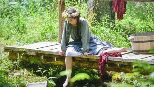 Die drei goldenen Dukaten Bild 3