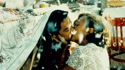 Schwarze Katze, weißer Kater Bild 5