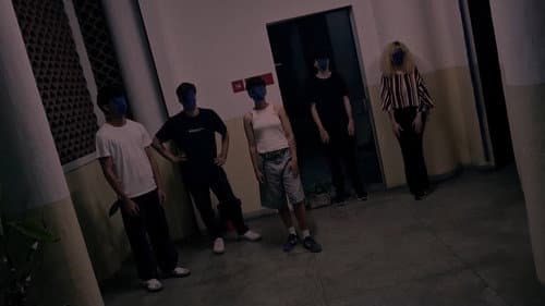 Transgressão Bild 3