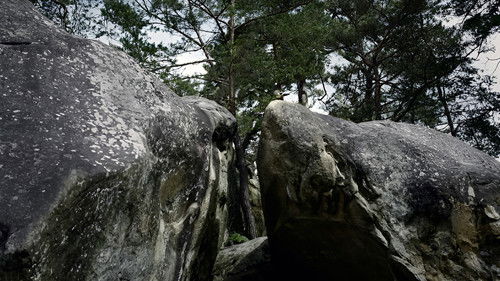 Aventure à Bleau Bild 2