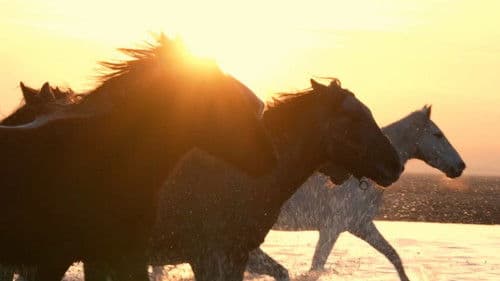 A Place to Go Bild 1