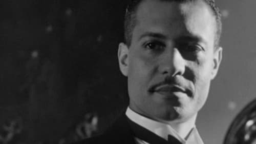 Looking for Langston Bild 1