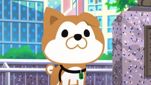 SHIBUYA♡HACHI Bild 1