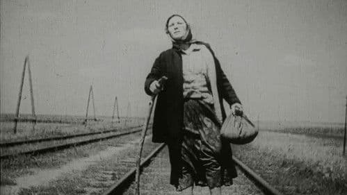 Schwein bleibt Schwein Bild 4