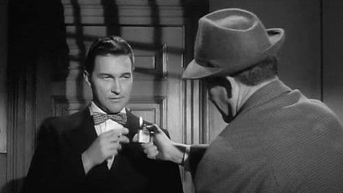 The Shakedown Bild 3