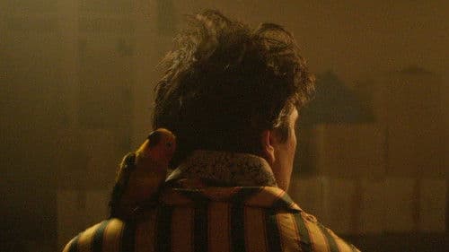 Le Ciel étoilé au-dessus de ma tête Bild 1