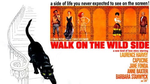 Auf glühendem Pflaster Bild 2