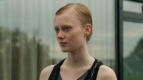 Wenn das Licht zerbricht Bild 4