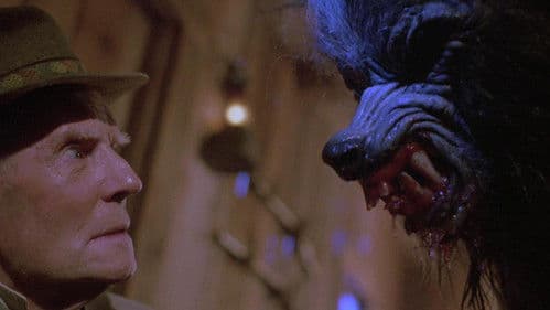 Reise zurück in der Zeit Bild 5