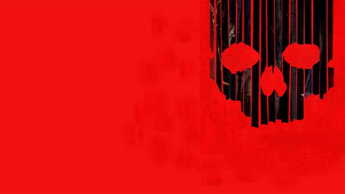 S-VHS aka. V/H/S/2 Bild 7