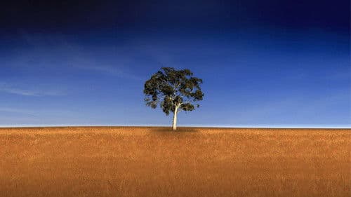 Who Do You Think You Are? Bild 2