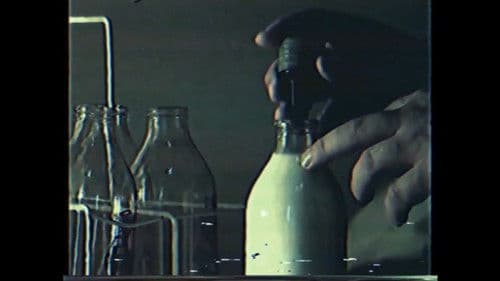 Morning Deliveries Bild 8