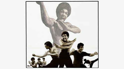 Bruce Lee - Sein tödliches Erbe Bild 2