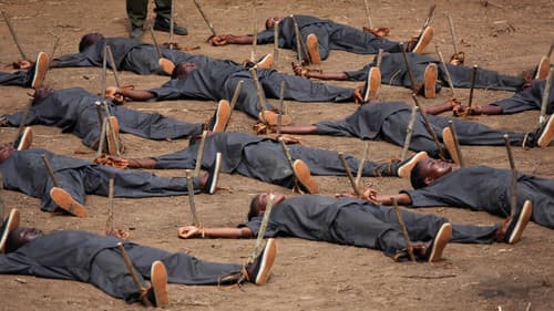 Virgem Margarida Bild 1