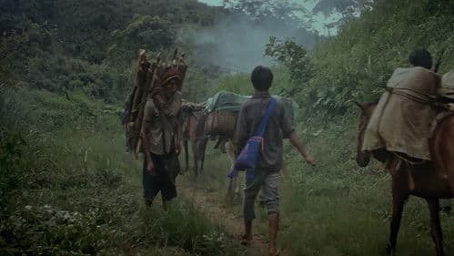 ด้วยเกล้า Bild 5