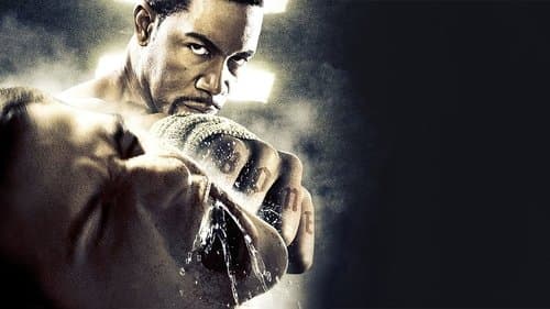 Blood and Bone - Rache um jeden Preis Bild 2