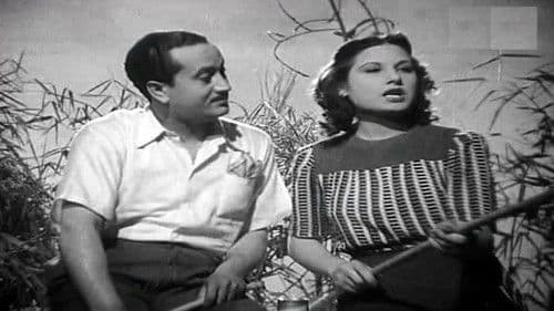 بنت ذوات Bild 2